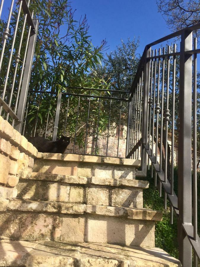 Lavanda E Rosmarino Home Assisi Bagian luar foto