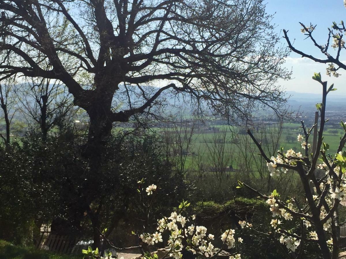 Lavanda E Rosmarino Home Assisi Bagian luar foto