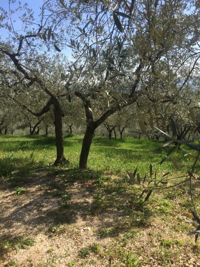 Lavanda E Rosmarino Home Assisi Bagian luar foto