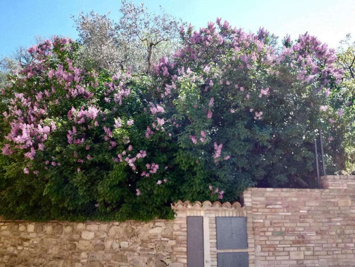 Lavanda E Rosmarino Home Assisi Bagian luar foto